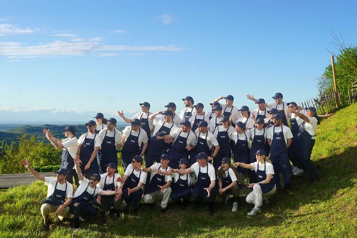 Tebi team
