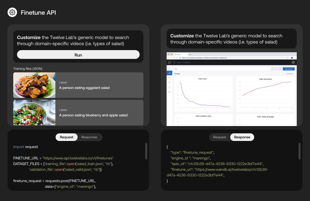 Twelve Labs Product Images, Finetune, Search & Vector APIs