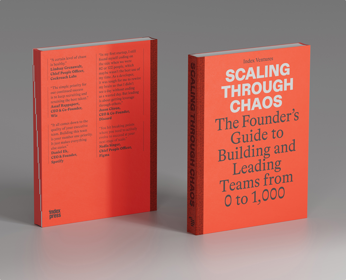 ScalingThroughChaosBook-header.jpg