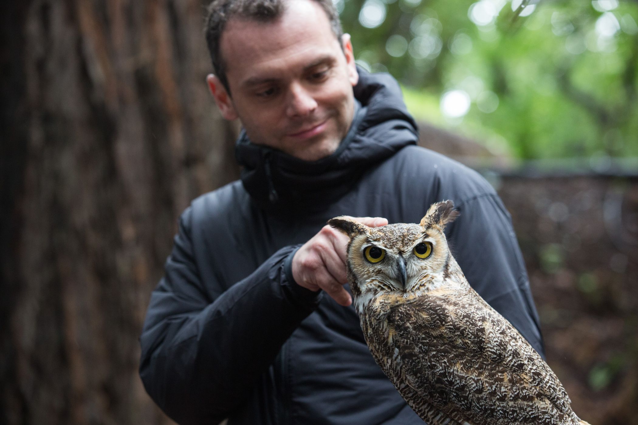 falconry072.jpg
