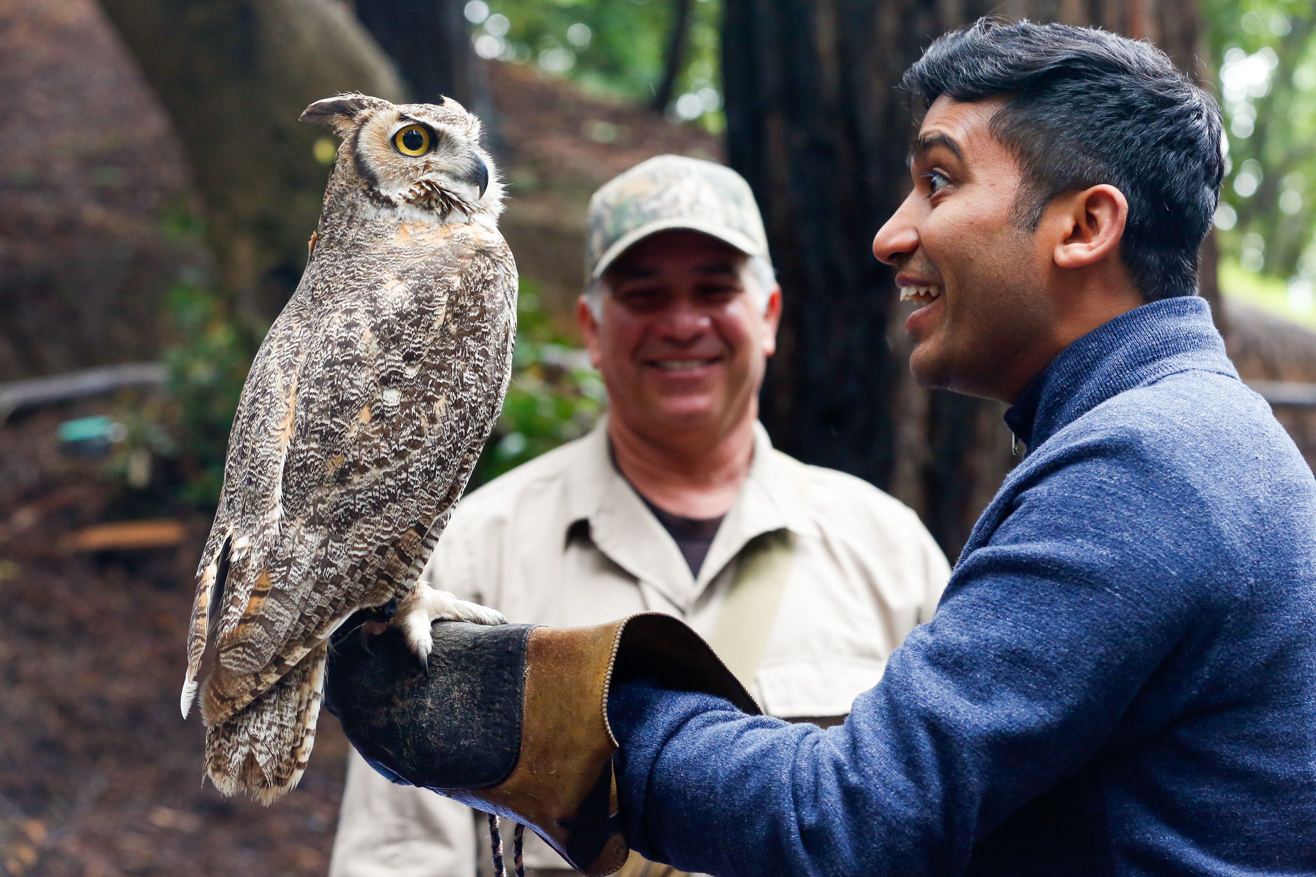 Shardul very scared of owls