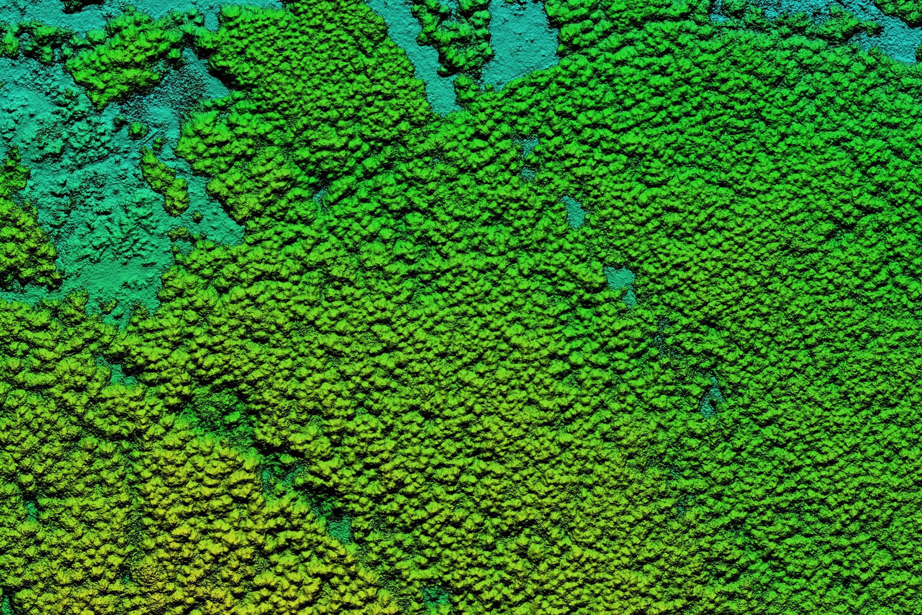 lidar_sylvera.jpg