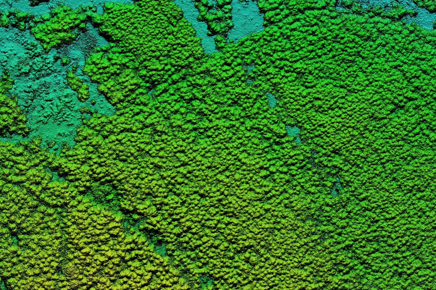 lidar_sylvera.jpg-cropped-thumbnail-c05385d9f958