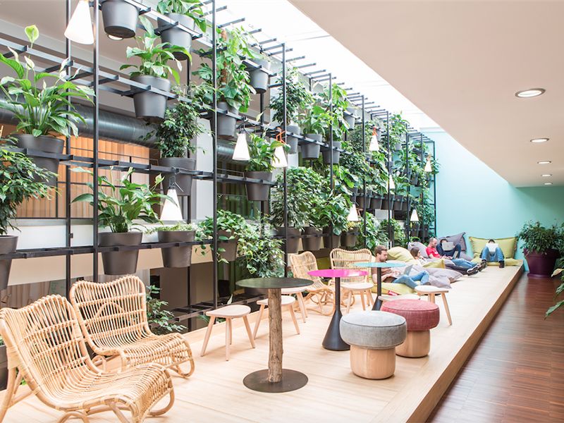 Typeform office in Barcelona