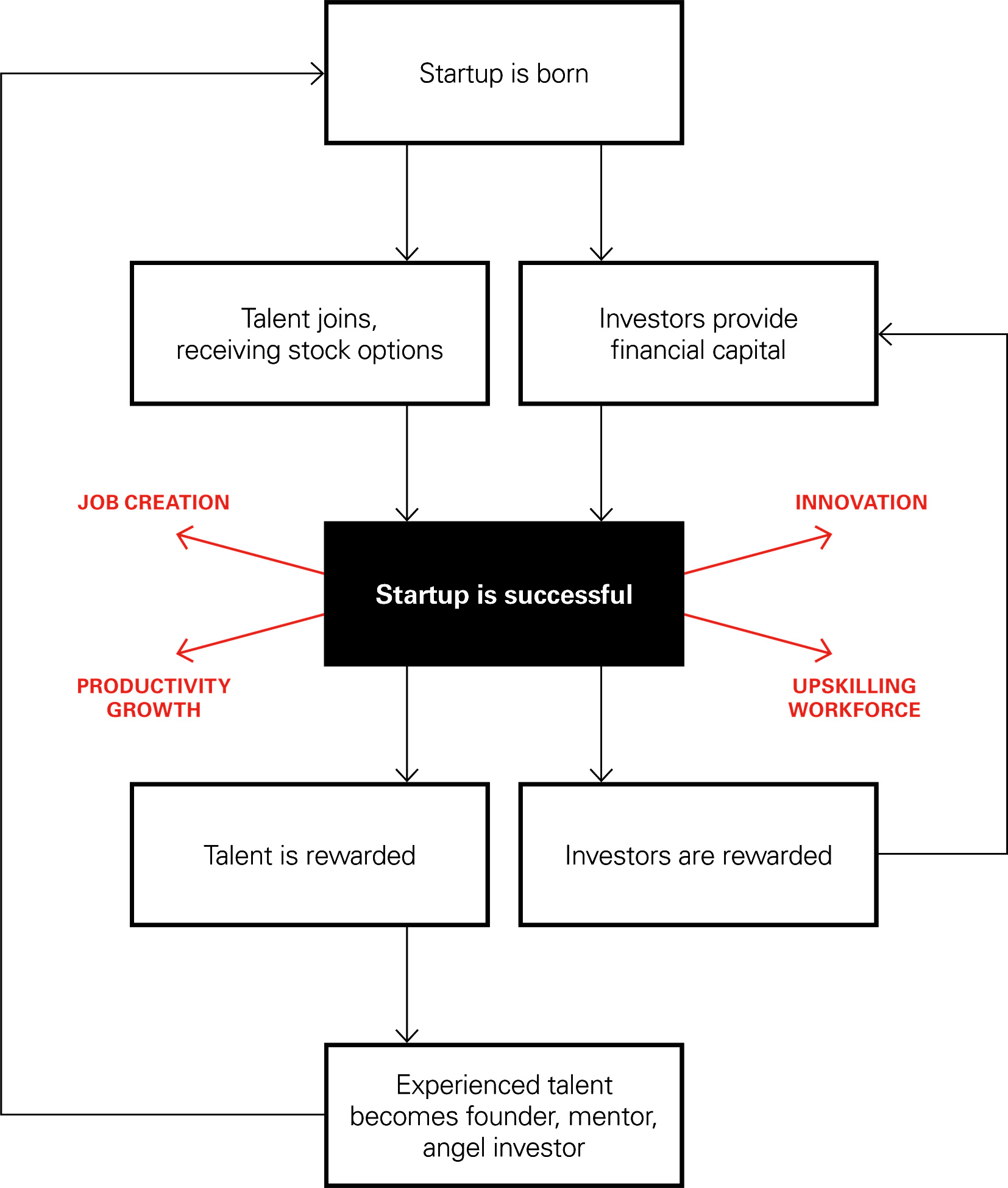 Startup lifecycle chart
